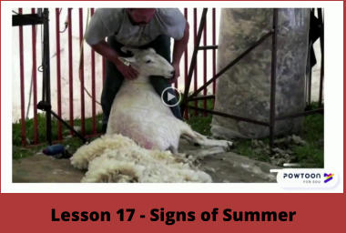 Lesson 17 - Signs of Summer