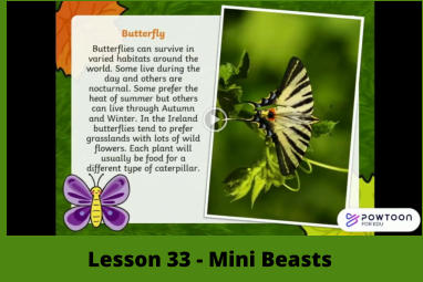 Lesson 33 - Mini Beasts