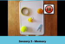 Sensory 3 - Memory